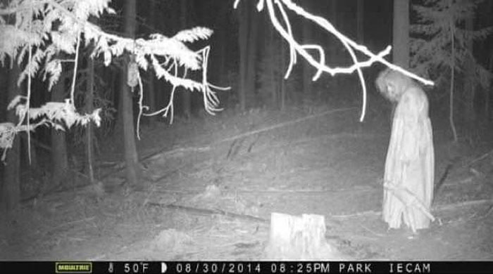 Ghostly figure captured in a forest at night on a trail cam, showcasing a creepy and eerie atmosphere.