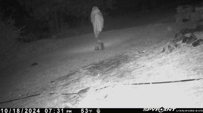 Creepy trail cam picture showing a mysterious cloaked figure walking at night in a deserted area.