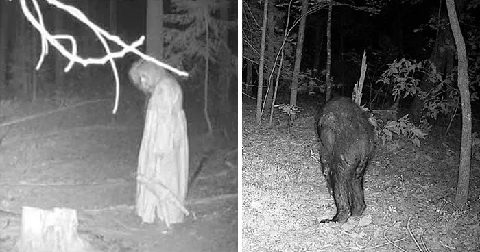 30 Creepy Trail Cam Pics That People Just Had To Share With The World