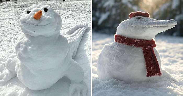 Florida Went From Suncreens To Snowmen 