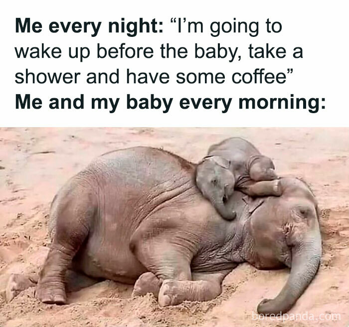 Elephants sleeping, humorously representing the daily joys and struggles of a dad.