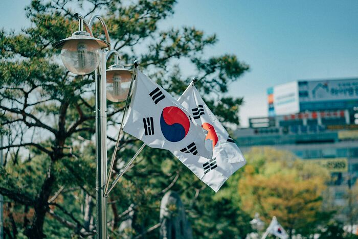 South Korean flags waving on lamp posts in an urban setting.
