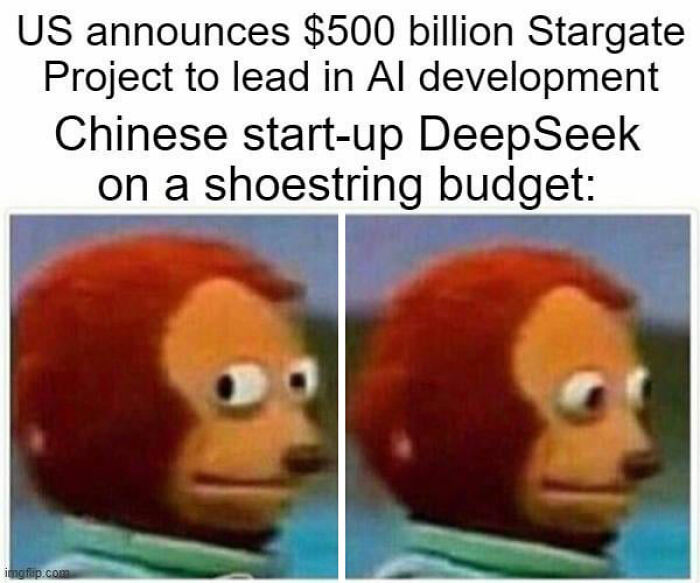 DeepSeek meme with puppet character looking sideways, highlighting AI chatbot competition on budget.