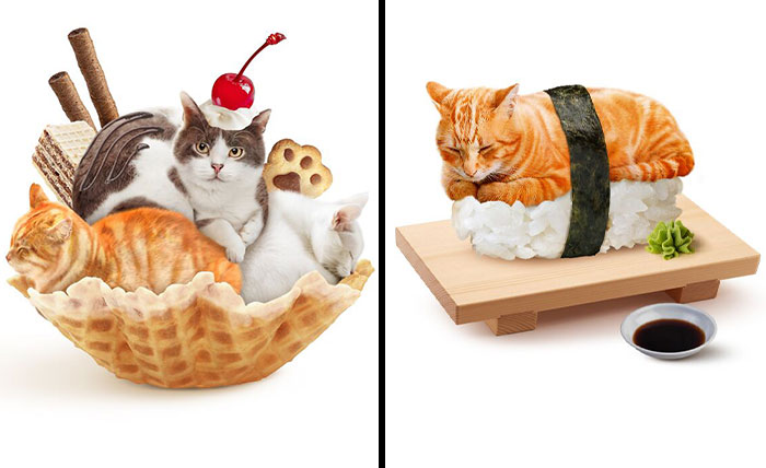 This Artist Serves Up Adorable Cat-Inspired Food Art (20 Pics)