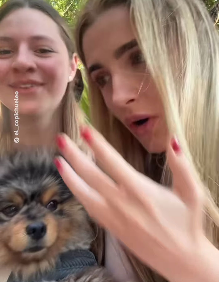 Pet Owner Accuses Tourists Of Snatching Her Adorable Puppy Before Trying To Flee Pet Owner Accuses Tourists Of Snatching Her Adorable Puppy Before Trying To Flee