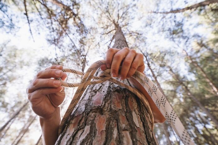 Hands tying a patterned rope around a tree trunk, with a forest background, illustrating creative outdoor activities in school.