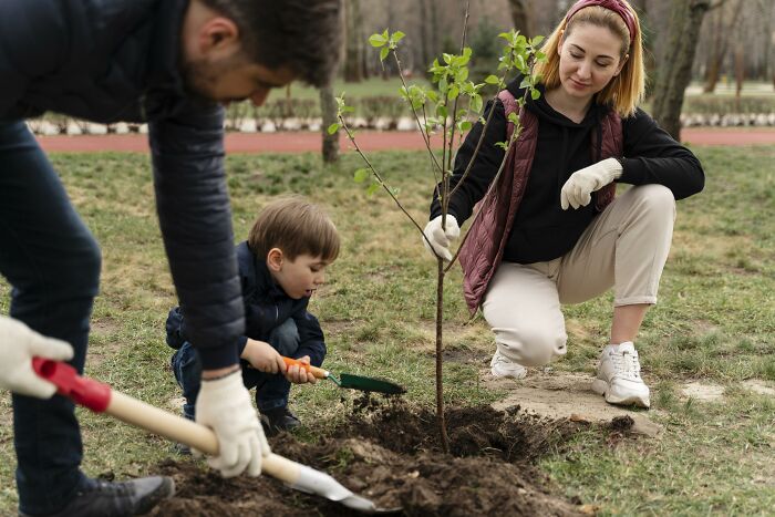 A family planting a small tree together in a park.