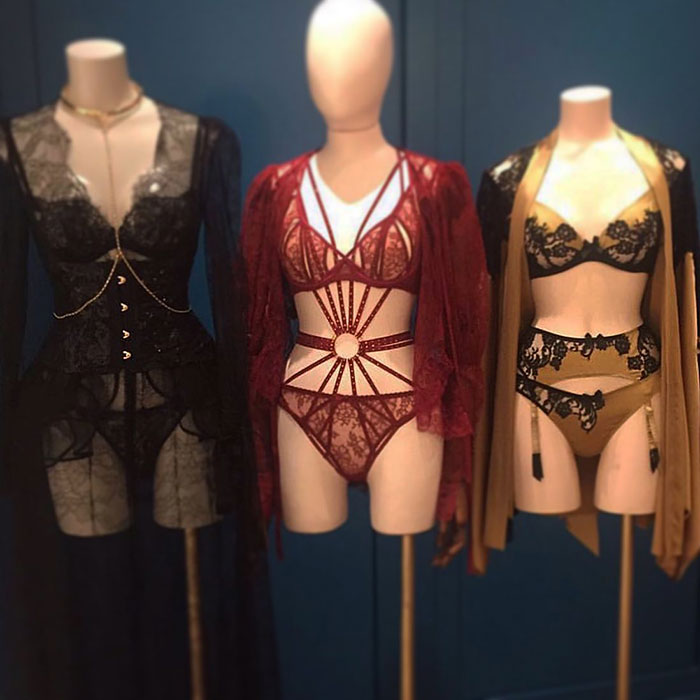 Lingerie displayed on mannequins in a boutique setting, highlighting stylish business offerings. Lingerie displayed on mannequins in a boutique setting, highlighting stylish business offerings.