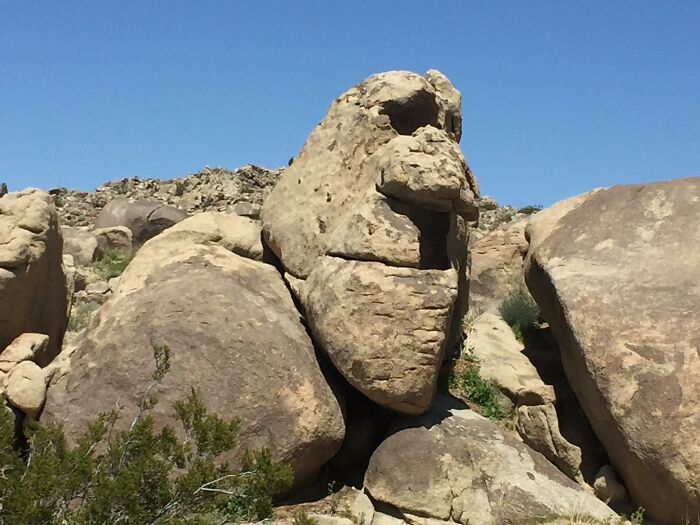 A rock formation resembling a face in a desert setting under a clear blue sky, exemplifying pareidolia.