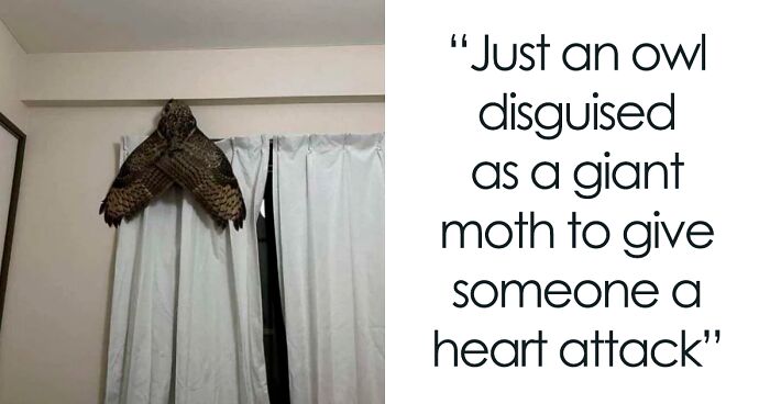 30 Pics From The Group That Shares Photos That You Might Need To Look At Twice To Understand (New Pics)