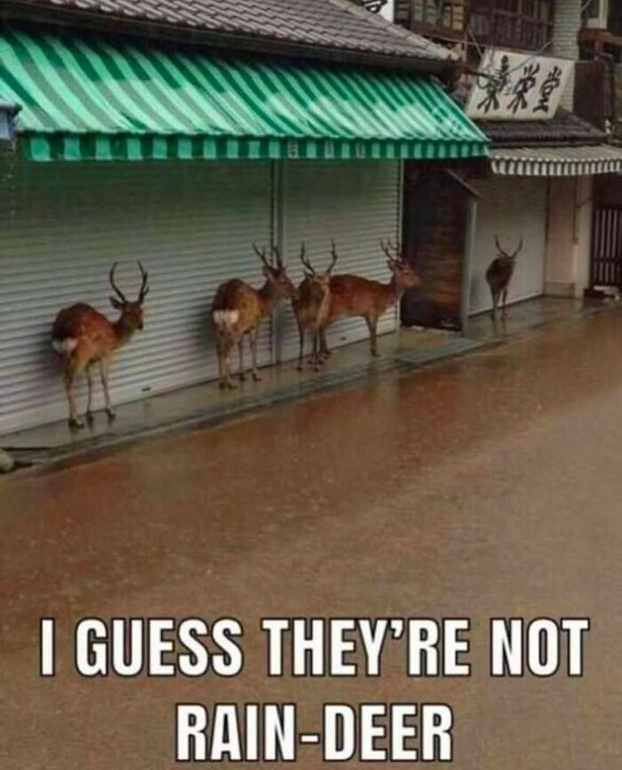 Funny-Country-Living-Memes