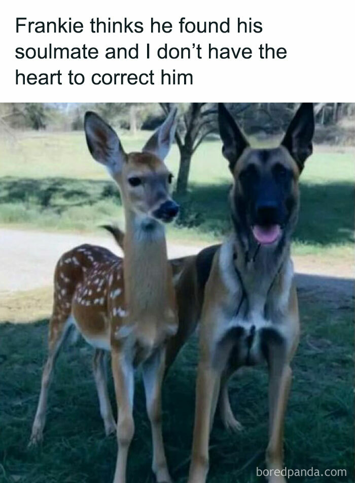 Funny-Country-Living-Memes