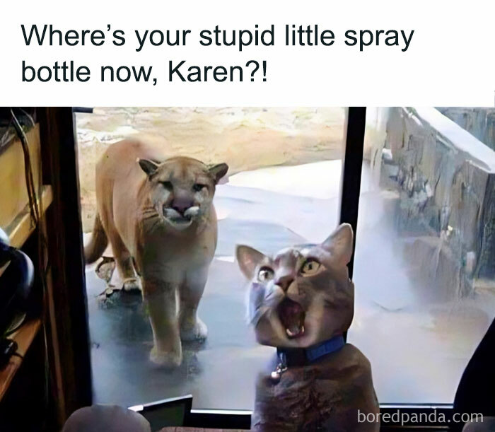 Funny-Country-Living-Memes