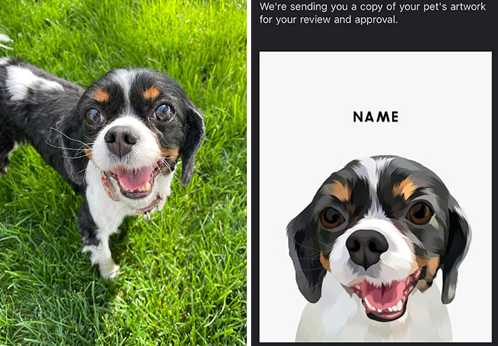 Happy dog in a yard next to a digital pet portrait, highlighting online shopping scams and fails.
