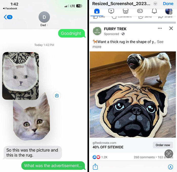 Text exchange shows a funny online shopping fail with mismatched cat rug and ad. Pug picture contrasts with ad for a dog rug.