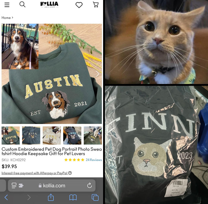 Funny online shopping fails showing pet sweatshirt mismatch with cat and dog prints.