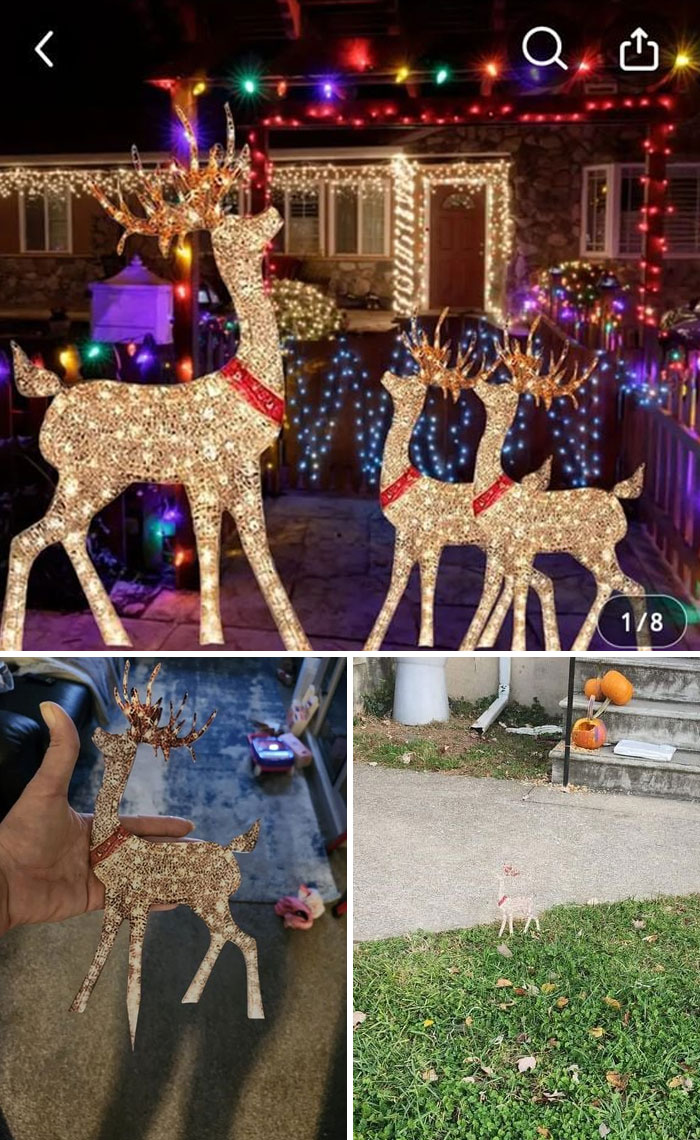 Online shopping fail with mismatched reindeer decoration sizes in a yard.