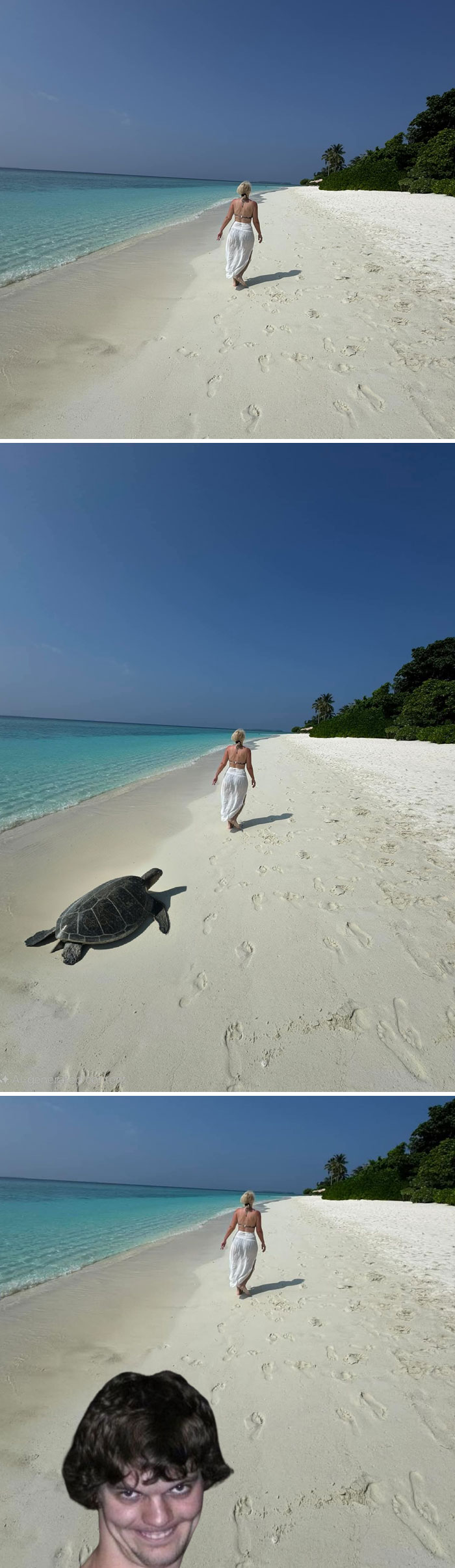 Beach scene with funny photo editing, adding a turtle and a smiling man.
