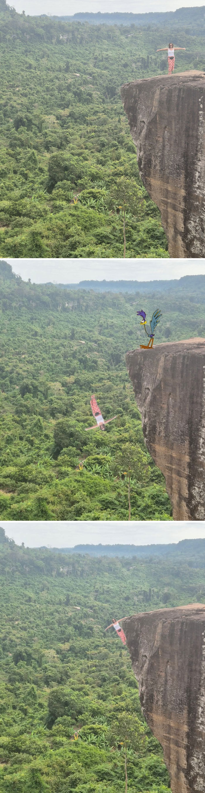 Hilarious photo edit of a woman on a cliff replaced by a cartoon character overlooking a forest scenery.