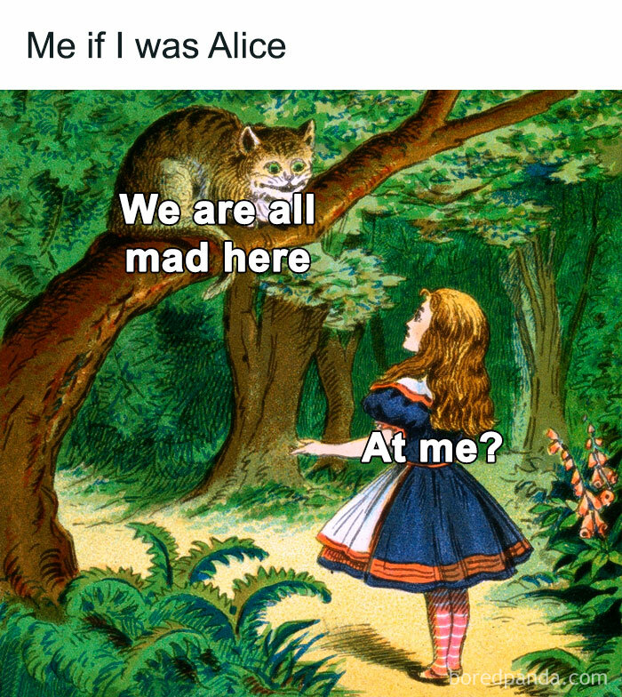 Funny-Relatable-Ig-Animal-Memes