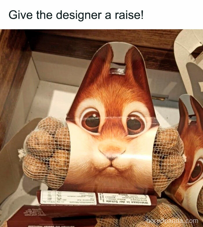 Funny-Relatable-Ig-Animal-Memes