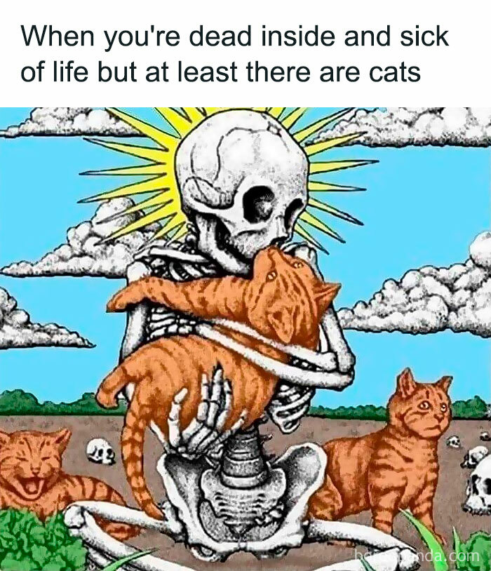 Funny-Relatable-Ig-Animal-Memes