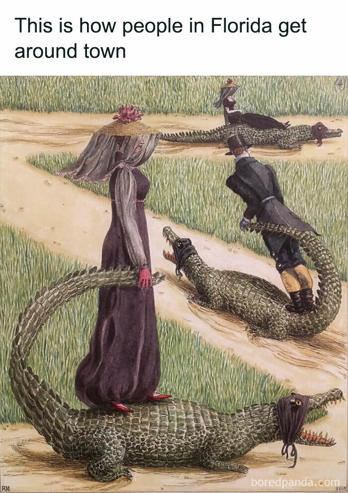 Funny-Relatable-Ig-Animal-Memes