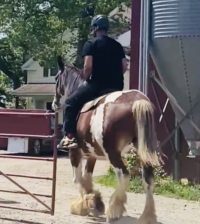 A person on a horse in a backyard, capturing a moment of funny wholesome anniversary surprises.