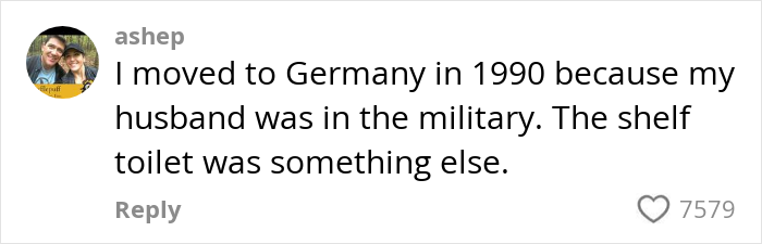 Comment about cultural insights, with mention of German shelf toilet, posted by user ashep.