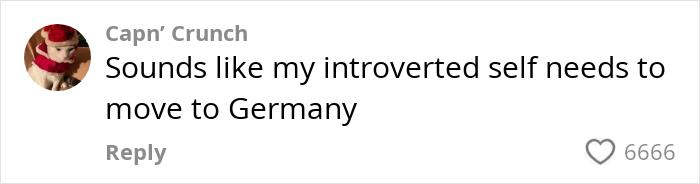 Comment discussing introversion related to German cultural insights with 6666 likes.