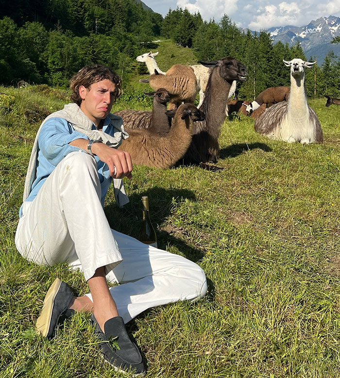 Man relaxing in a grassy field with llamas, wearing casual clothes, representing Gstaad-Guy's parody of billionaires.