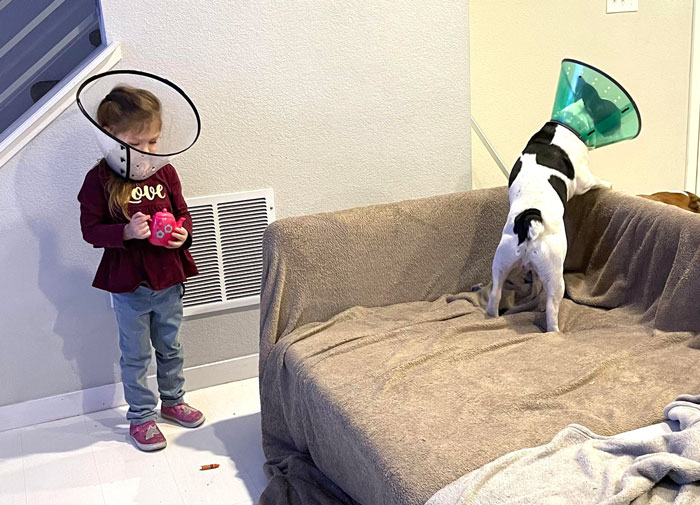 Hilarious kid and dog wearing cones, the child holding a toy, creating a funny moment at home.