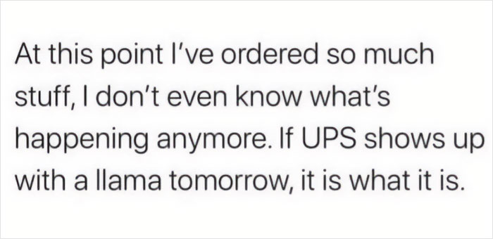 Text meme about excessive online shopping and a humorous scenario with UPS and a llama delivery.