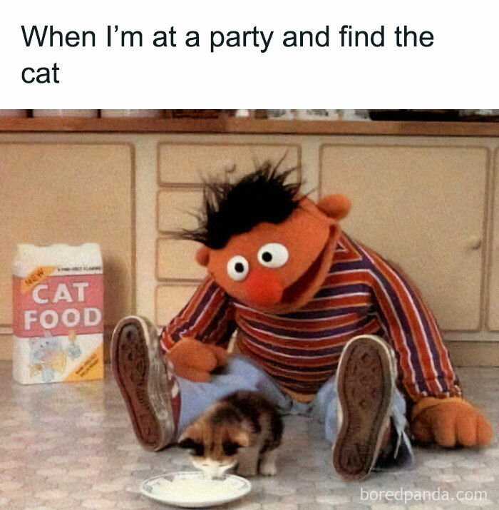 Puppet sitting with a cat drinking milk, with text "When I'm at a party and find the cat," illustrating a hilarious meme.