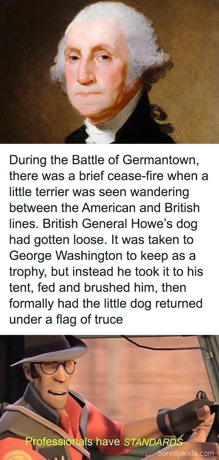 Washington Washingdogs