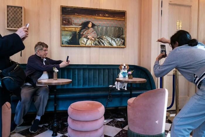 Man photographing a dog in a cafe, exemplifying street photography.