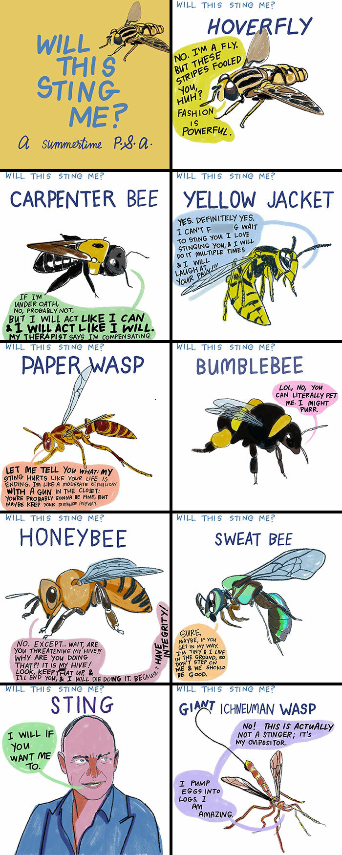 Illustrations by Sophie Lucido Johnson depicting various insects with humorous captions about stinging.