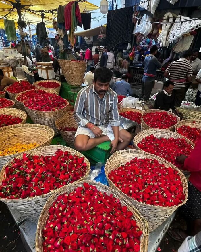 Man sitting among baskets of red flowers in a bustling market, showcasing street photography's vivid urban scenes.