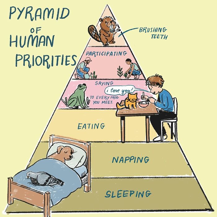Illustration by Sophie Lucido Johnson of a pyramid prioritizing simple activities like eating, napping, and participating.