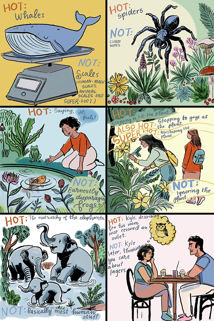 Illustrations by Sophie Lucido Johnson showing charming, everyday moments like watching whales and identifying plants.