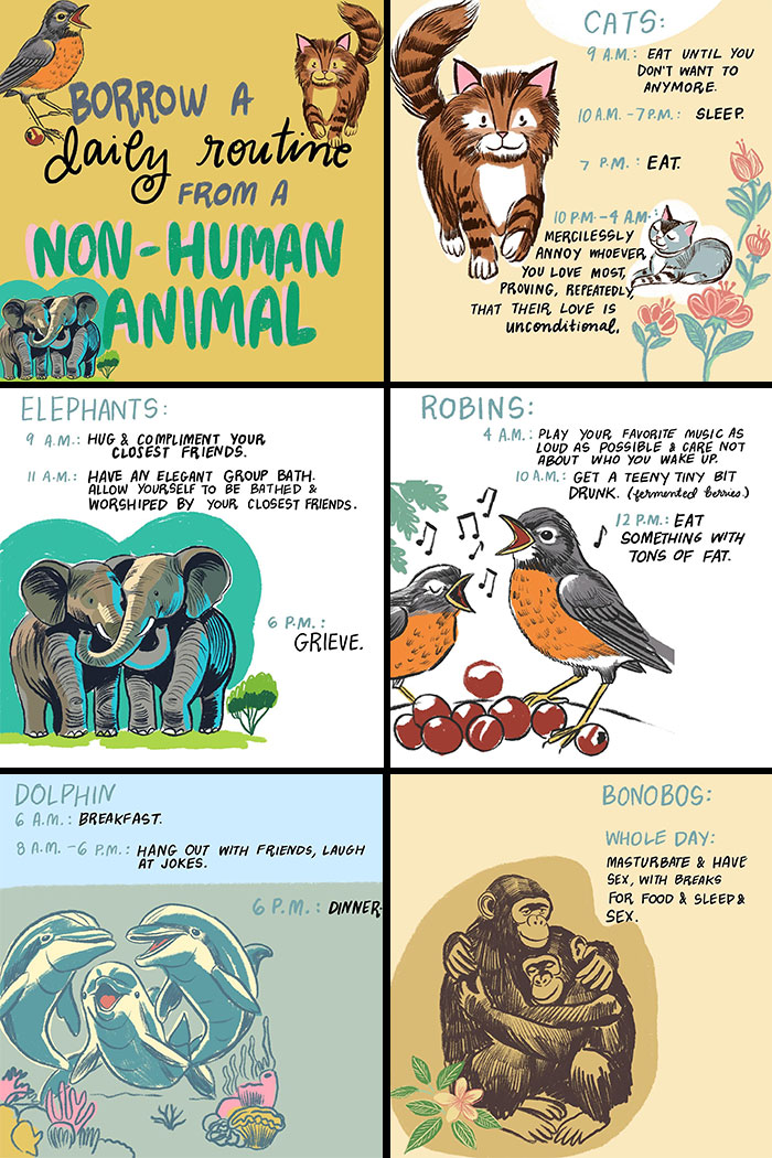 Illustrations by Sophie Lucido Johnson encouraging a slower lifestyle through daily routines of various animals.