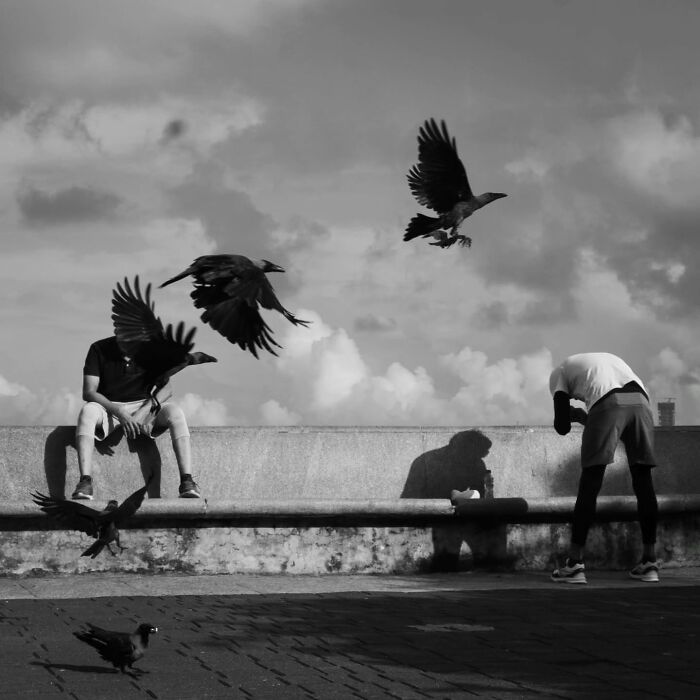 Street photography captures a dramatic moment with birds and two people on a bench.