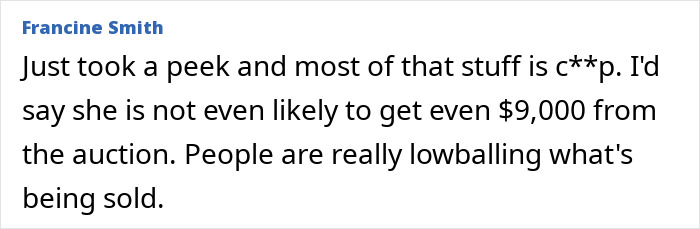 Comment discussing luxury influencer's auction, perceived low value of items, and skepticism about reaching $9,000.