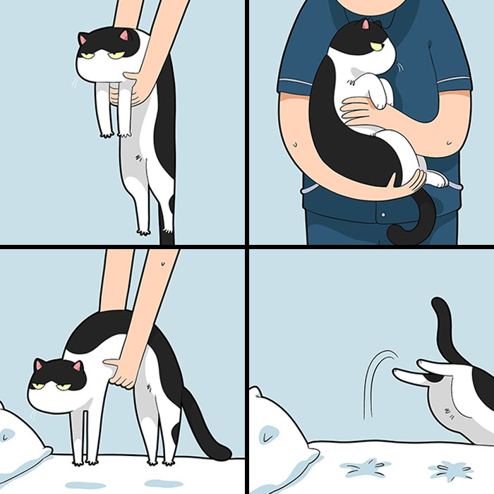 30 Hilarious New Comics by Lingvistov That Perfectly Capture Life With a Cat