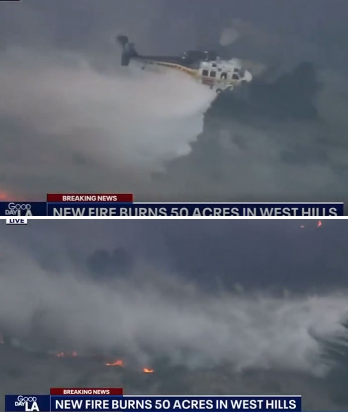 Los-Angeles-Fires-Wholesome-Moments