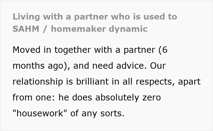 Text about domestic labor issues in a relationship, with a partner doing no housework. Text about domestic labor issues in a relationship, with a partner doing no housework.