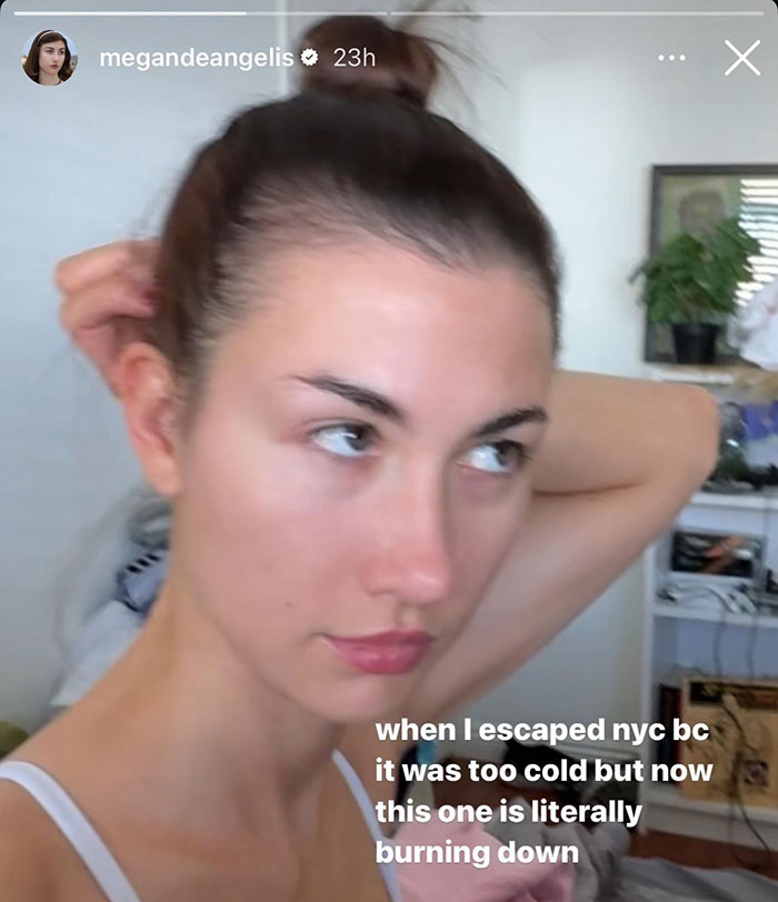 &ldquo;Girl Read The Room&rdquo;: Influencer Gets Reality Check After &ldquo;Insensitive&rdquo; Post About LA Wildfires