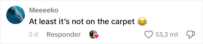 &ldquo;Where&rsquo;s The Girl With The List?&rdquo;: Mom Finds Son Asleep With Poop In His Hands