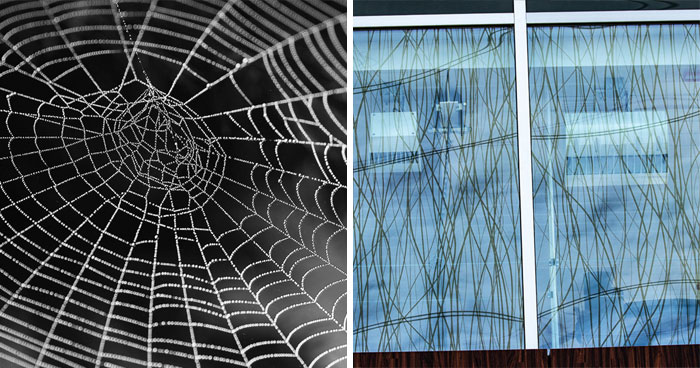 30 Man-Made Innovations That Were Designed Mimicking Nature’s Blueprints