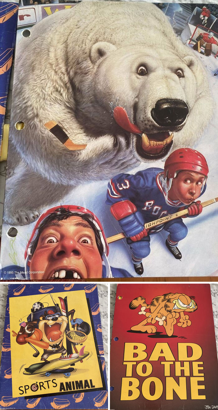 Vintage cartoon-themed folders featuring hockey, sports, and Garfield evoke old-school memories.